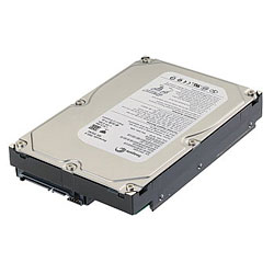 ST3160815AS (160G SATA300 7200)