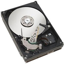 ST3160815A (160G U100 7200)