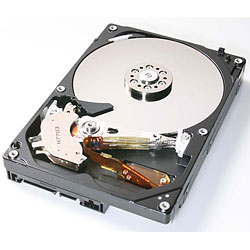 HDP725050GLA360 (500G SATA300 7200)