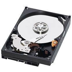 WD6400AAKS (640G SATA300 7200)