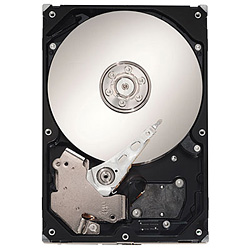 ST3320418AS (320GB SATA300 7200)