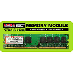 Castor SSDDR2-1G-800 (DDR2 PC2-6400 1GB)