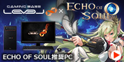 ECHO OF SOUL�����p�\�R��