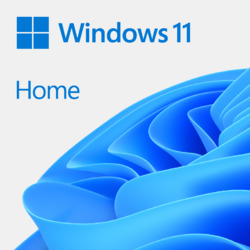 Windows 11 Home 日本語版 (ダウンロード)