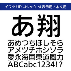 Win-イワタ書体【 UDゴシックL 】表示用・本文用　Ver4.2 イワタUDゴシックL表示用/本文用Pro (I-OTF-UDゴ表示/ゴ本文Pro