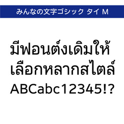 TrueType　みんなの文字ゴシック タイ M【ダウンロード版】
