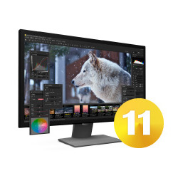 SILKYPIX Developer Studio Pro11 ダウンロード版(WIN&MAC)
