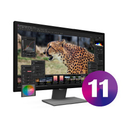 SILKYPIX Developer Studio 11 ダウンロード版(WIN&MAC)