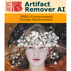 AKVIS Artifact Remover AI Business版 DL版