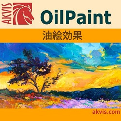 AKVIS OilPaint Homeスタンドアロン版 DL版