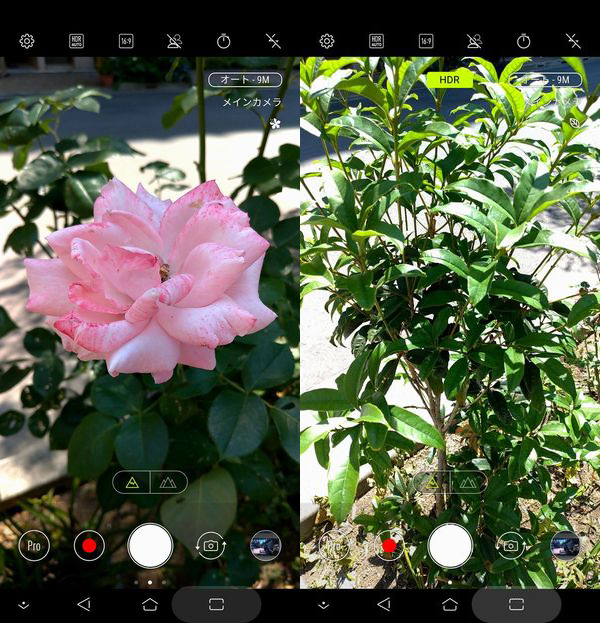 ZenFone 5のAIカメラで花を撮影(左)、葉っぱを撮影(右)