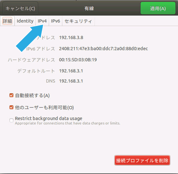 「IPv4」タブをクリックする