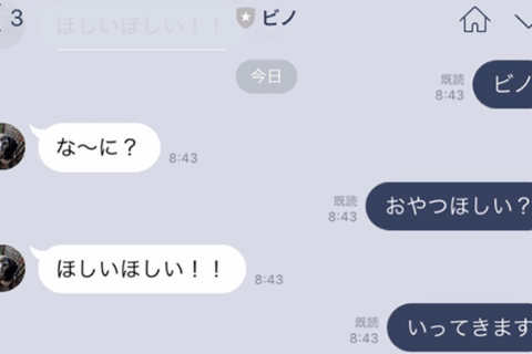 ノンプログラマーが「愛犬とチャットできた気分になれるLINE Bot」を作ってみたのイメージ画像