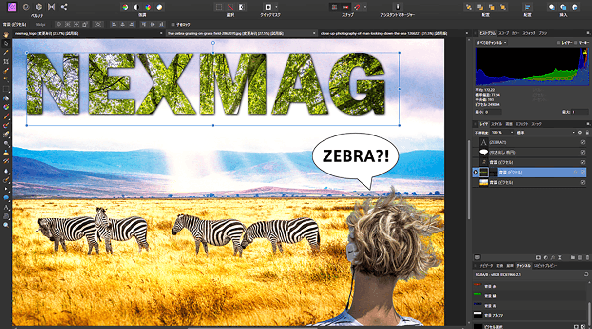 Affinity Photo 高機能かつ軽快な操作性の画像編集ツール | パソコン