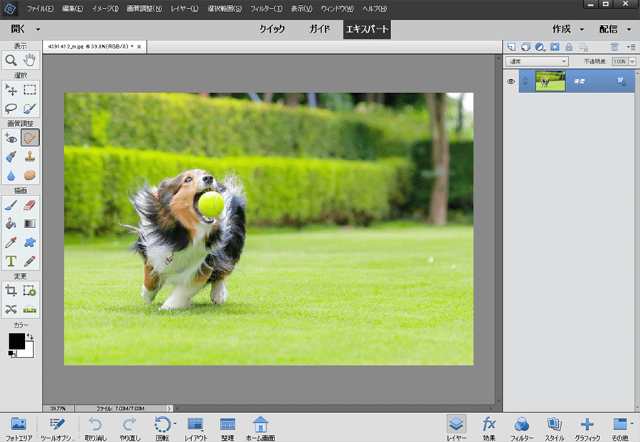 Adobe Photoshop Elements