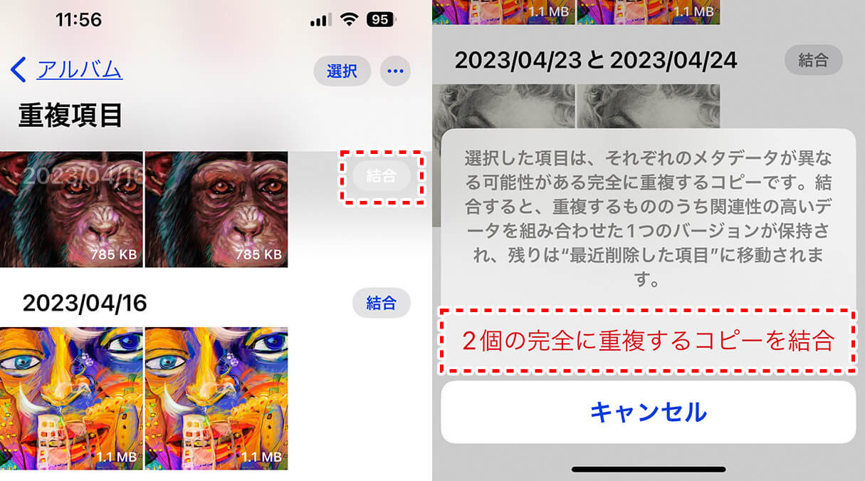 iPhone 「写真」アプリの「ライブラリ」で写真を見つけやすく整理する