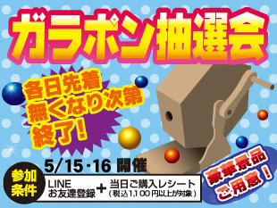ガラポン抽選会