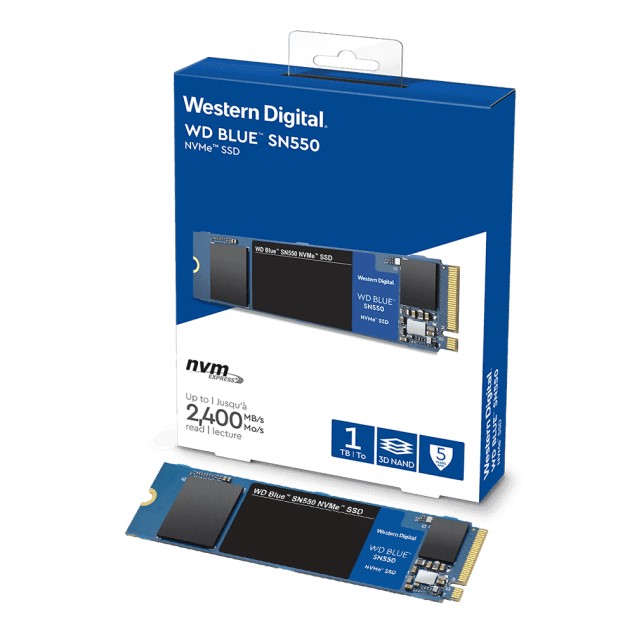 Western Digital WDS100T2B0C