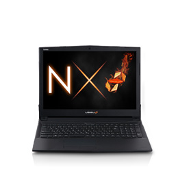 LEVEL-15FH060-i7-LS [Windows 10 Home]