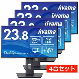 セット商品 iiyama ProLite XB2481HSU-B5H 液晶モニター 2枚 セット