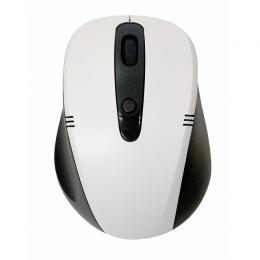 BCM318GSK2