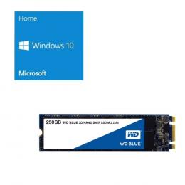 Windows 10 Home 64Bit DSP + Western Digital WDS250G2B0B バンドルセット
