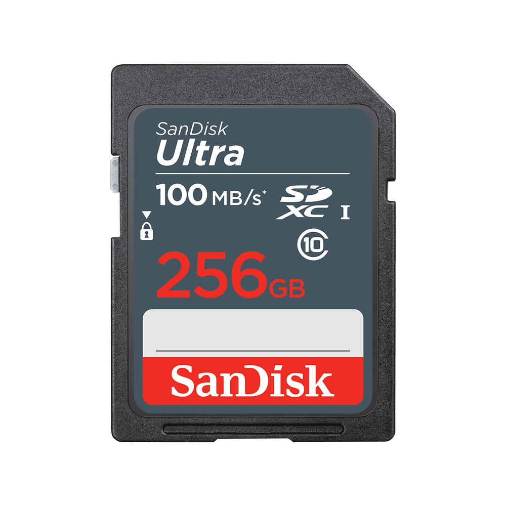 10%OFF SanDisk SDSQXA1-256G-GN6MN 256GB microSDXCカード 海外パッケージ品 Extremeシリーズ Class 10 riosmauricio.com 10%OFF SanDisk SDSQXA1-256G-GN6MN 256GB microSDXCカード 海外パッケージ品 Extremeシリーズ Class 10 riosmauricio.com