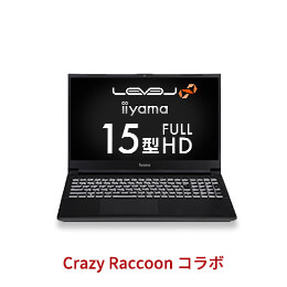 LEVEL-15FX066-i7-RFSX-CR [Windows 10 Home] iiyama　BTO パソコン　格安通販