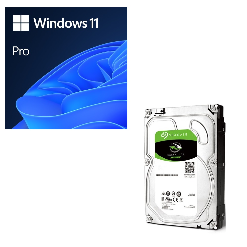 Windows 11 Pro (DSP版) 64bit