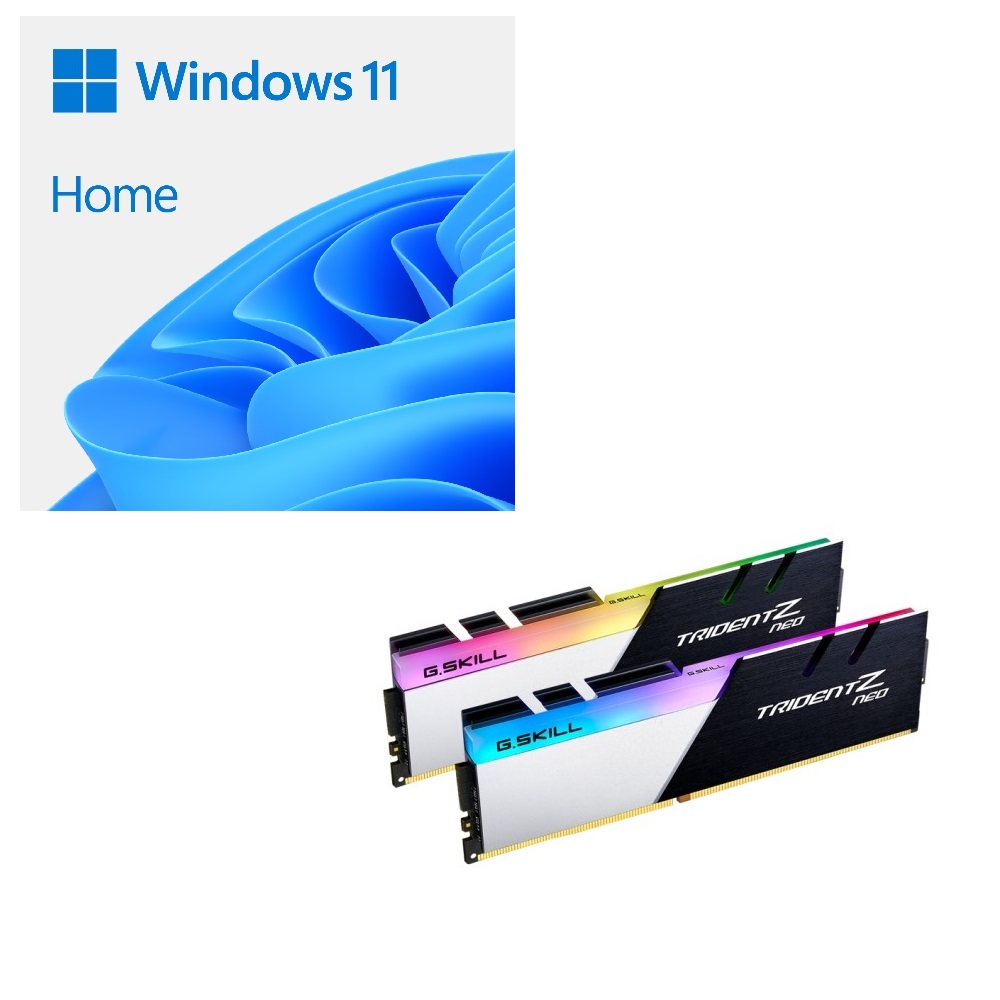 windows-11-home-64bit-dsp-g-skill-f4-3600c16d-32gtznc