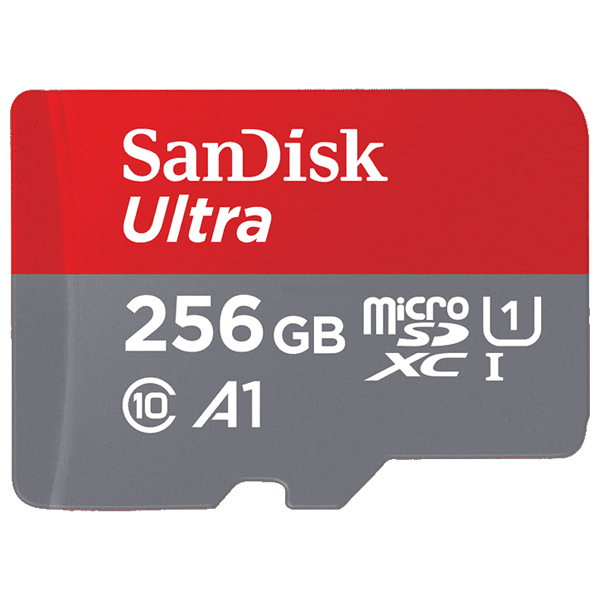 SANDISK  SDSQXCD-256G-GN6MA [256GB]