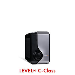 LEVEL-C066-LC137F-RLX [Windows 11 Home]