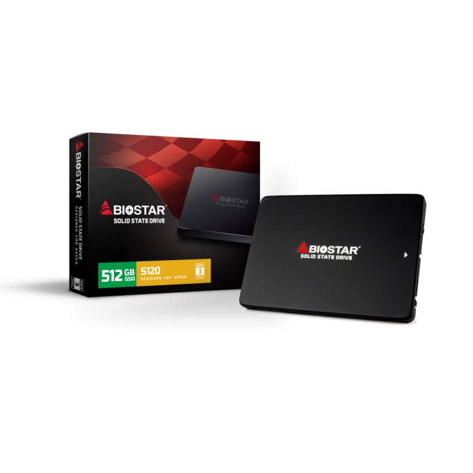 【未使用】BIOSTAR M.2 SSD 512GB