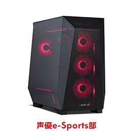 iiyama PC LEVEL-R8B8-LCR99Z-XKX-SEC-Limited Edition [RGB Build