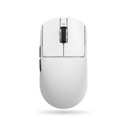 R1-W