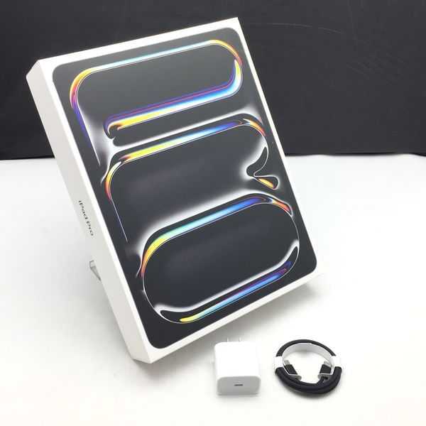 中古 iPad Pro 13インチ MVX23J/A APPLE 〔中古〕iPad Pro 13インチ 第1世代 標準ガラス 256GB スペース