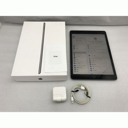 APPLE 〔中古〕iPad (第7世代) シルバー A2197（中古保証3ヶ月間