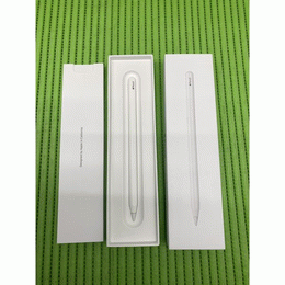 APPLE 〔中古〕Apple Pencil Pro MX2D3ZA/A（中古保証1ヶ月間