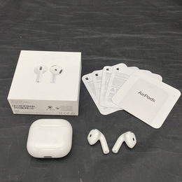 APPLE 〔中古〕AirPods Pro 第1世代 MLWK3J/A（中古保証1ヶ月間