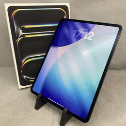APPLE 〔中古〕iPad Pro 13インチ 第1世代 標準ガラス 512GB スペース