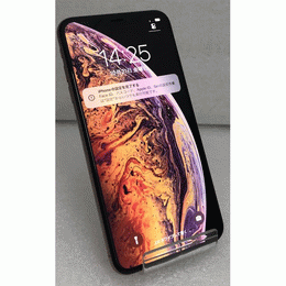 〔中古〕iPhone XS Max 64GB ｺﾞｰﾙﾄﾞ MT6T2J/A docomo対応（中古保証1ヶ月間）