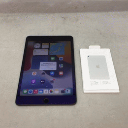 〔中古〕iPad mini5 (第5世代) Cellular 64GB ｽﾍﾟｰｽｸﾞﾚｲ MUX52J/A docomo（中古保証3ヶ月間）