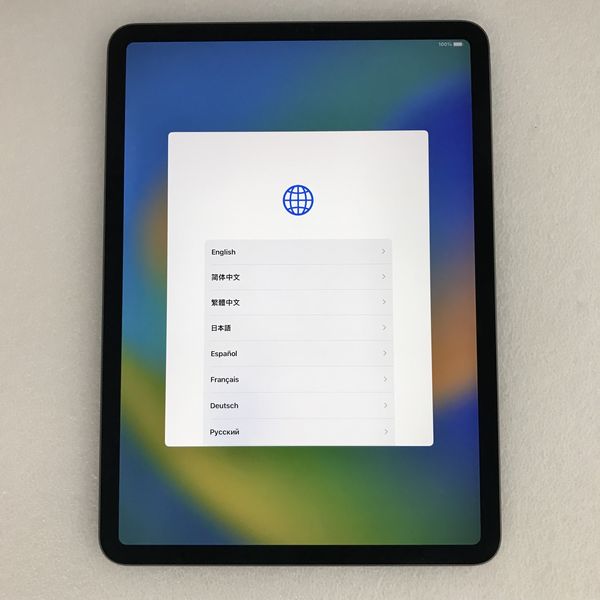 【ジャンク品】iPad Pro 11インチ 第一世代 256GB