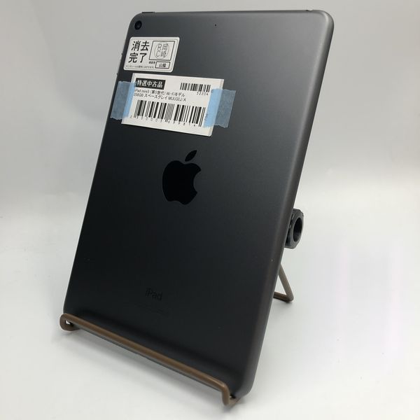 APPLE 〔中古〕iPad mini5 (第5世代) Wi-Fiモデル 256GB スペース 