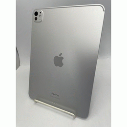APPLE 〔中古〕iPad Pro 11インチ 第5世代 標準ガラス 256GB シルバー