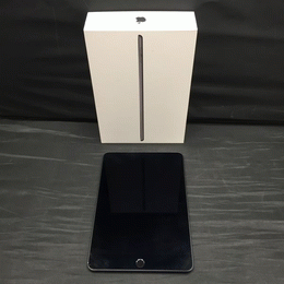 APPLE 〔中古〕iPad mini 第5世代 256GB スペースグレイ FUXC2J APPLE 〔中古〕iPad mini 第5世代 256GB スペースグレイ FUXC2J