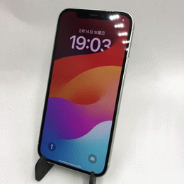 〔中古〕iPhone12 64GB グリーン MGHT3J/A docomo対応 SIMロック解除品(中古保証1ヶ月間)