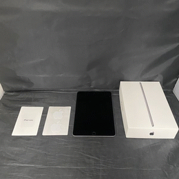 iPad mini5 256GB MUXD2J/A docomo 判定〇 refurb-ipad-mini-cell-silver-