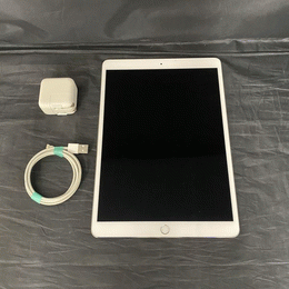 iPad Pro 第1世代 10.5インチ 中古 ゲオ公式通販サイト/ゲオオンラインストア【中古】【安心保証