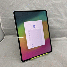 APPLE 〔中古〕iPad Pro 13インチ 第1世代 標準ガラス 256GB